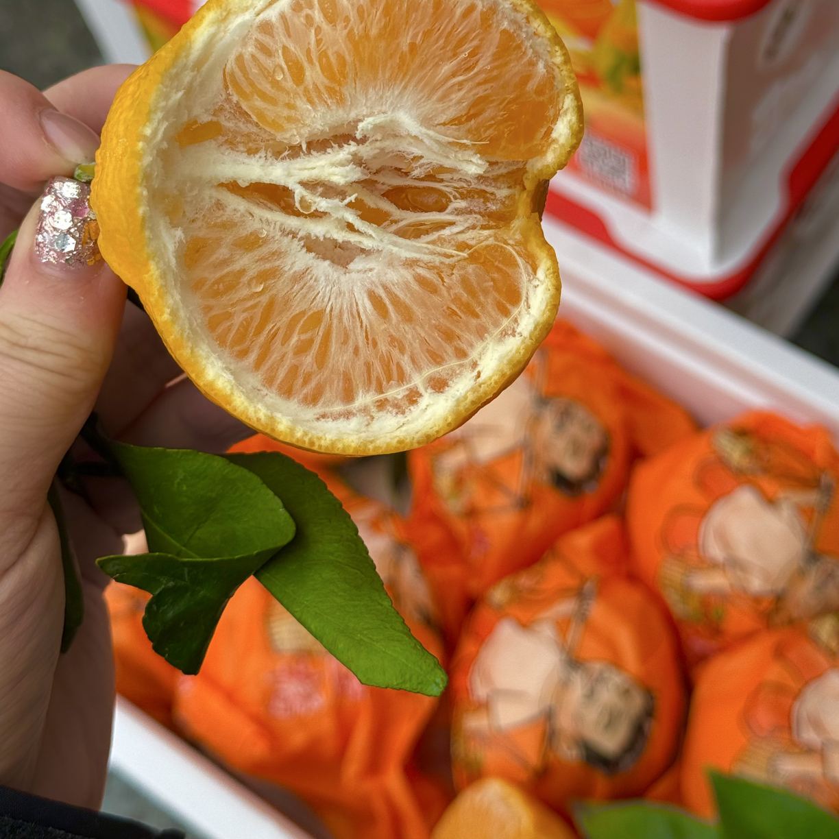 安氏耙耙柑一份净约5斤四川省