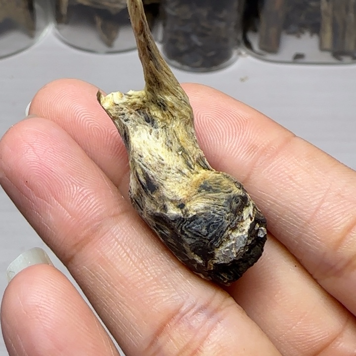 琳***爱木手工艺原母树丁料