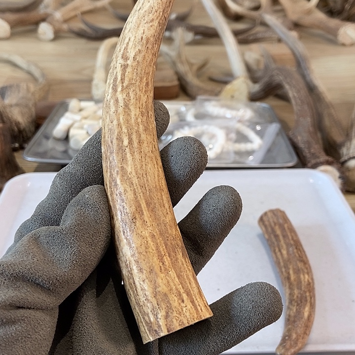 人***车大叶紫檀（黑酸枝木类）