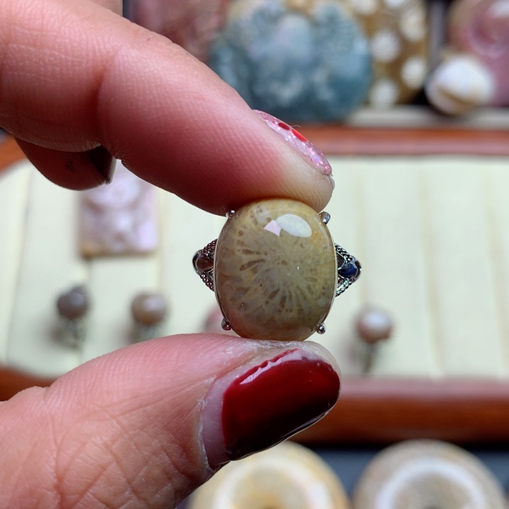 硅化珊瑚（珊瑚玉）颈饰未镶嵌