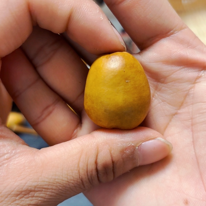 云**辰888888888888888888