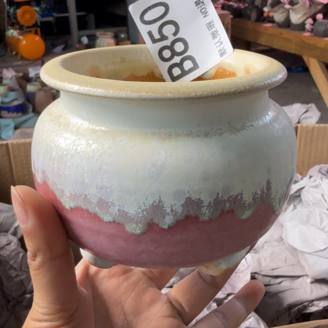 重庆小燕子欢迎大家850