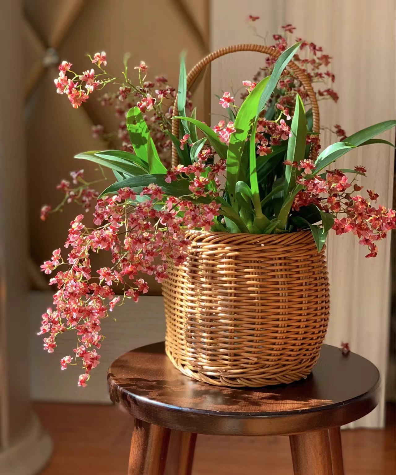 梦香兰（满堂红130盆 10支花剑起 ）精品兰花绿植盆栽