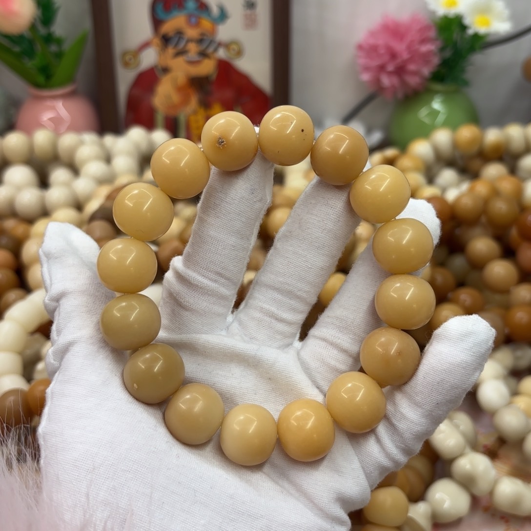 吊坠菩提根/象牙果17干磨瑕疵落地果020