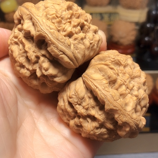 福利：全品大龙鼎