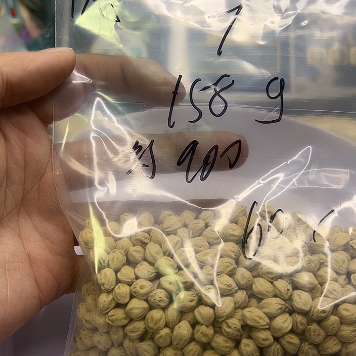 风***•柏香籽/百香籽吊坠