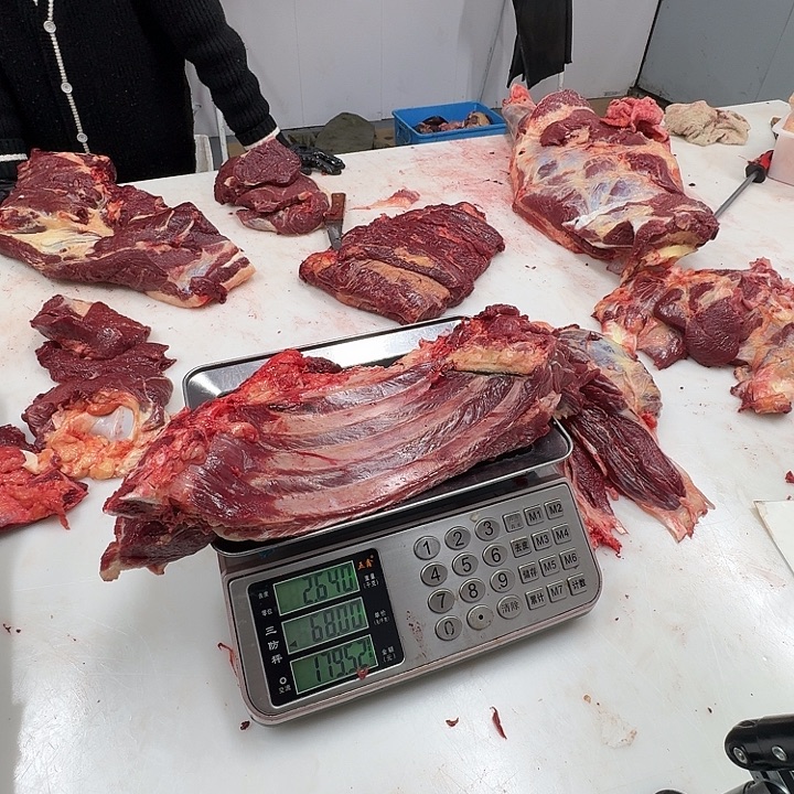 ****࿐12个月中国大陆马排骨