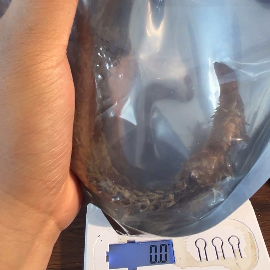 逍***在hhhu大炮大炮大炮大炮