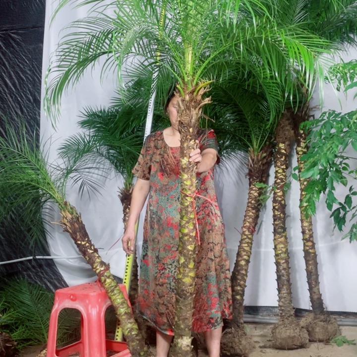 我***听无花朵1111111111