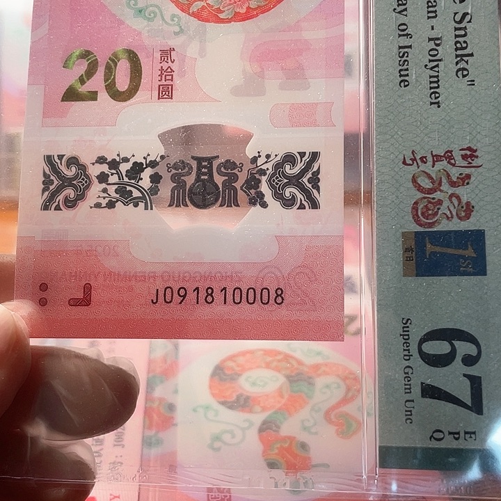 塑料091810008 蛇钞单张
