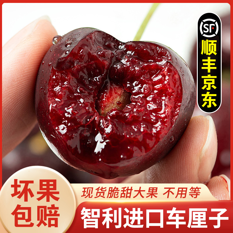 D1【顺丰京东】智利空运车厘子新鲜水果当季XL-5J0.9-5斤内附果径卡
