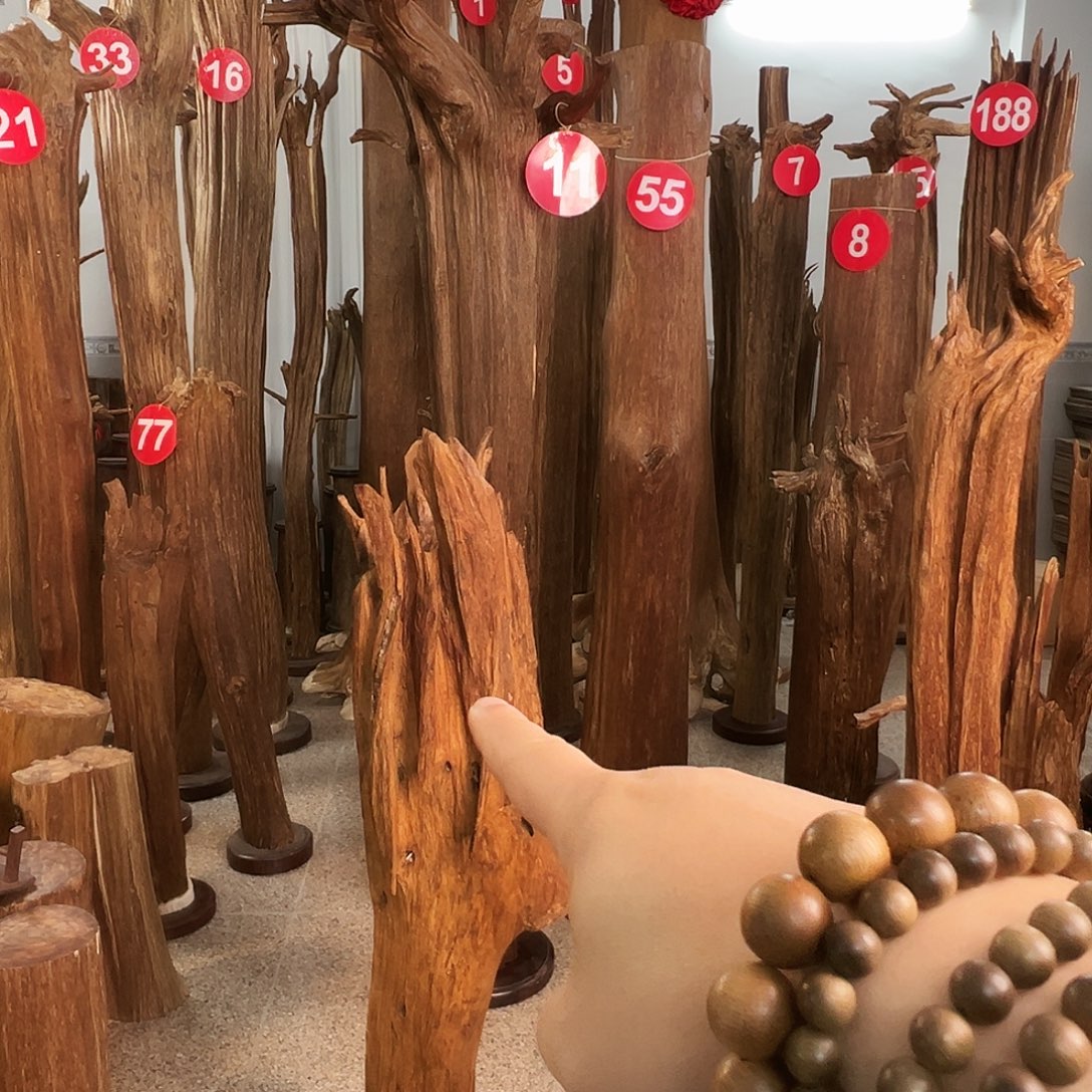 用***8摆件沉香沉香原料6