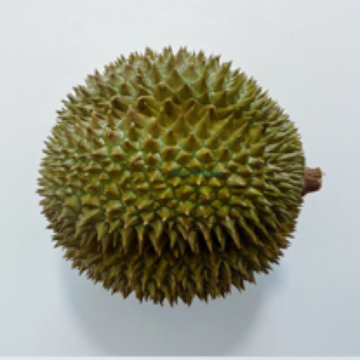 【一物一拍】泰国尖竹汶榴莲 核大干苞黄肉 软糯 3斤起运输10%干耗