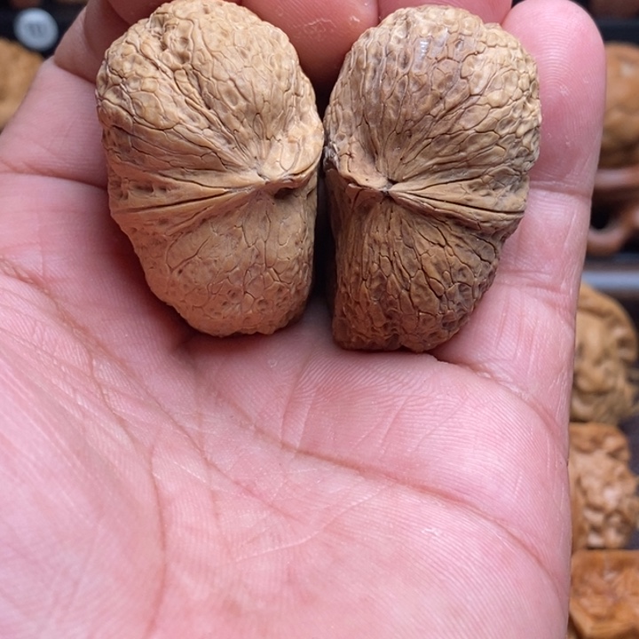 把件桃核蝴蝶半壁