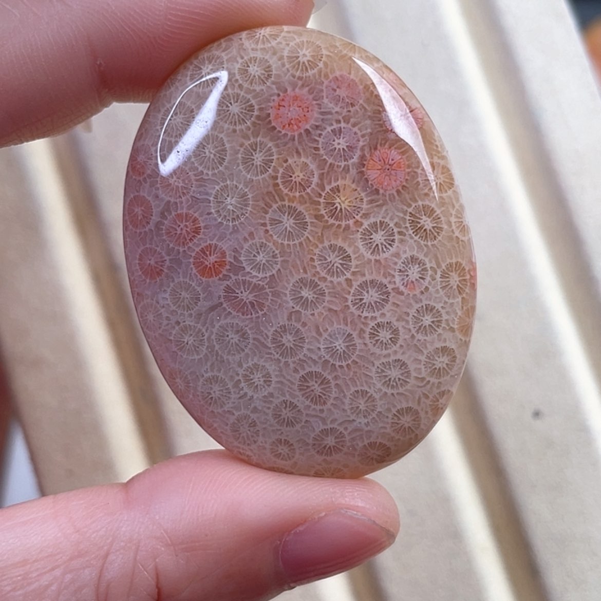 【闪购商品】硅化玉手串未镶嵌