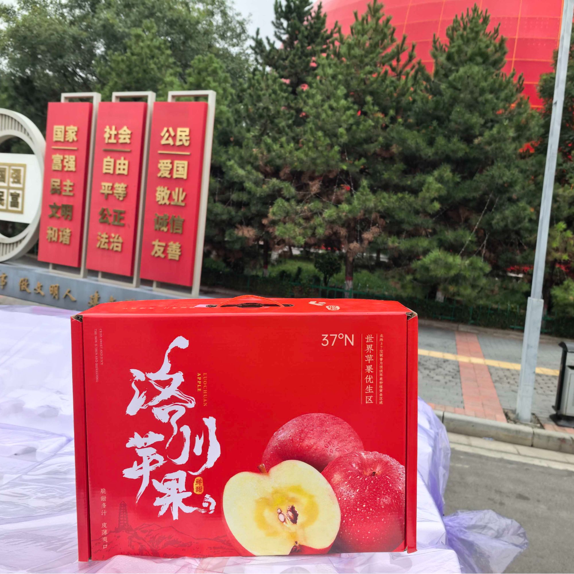 【礼盒装】陕西洛川精品红富士苹果 脆甜多汁 新鲜水果 产地直发