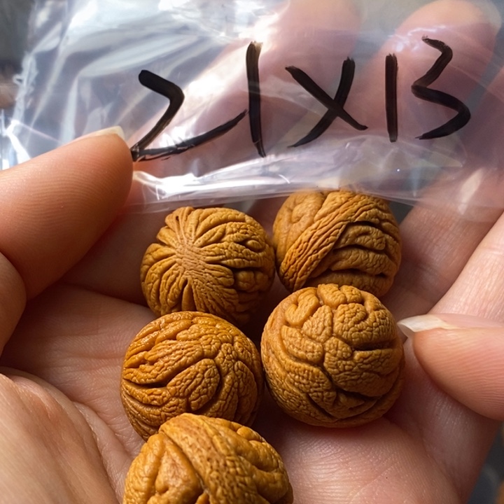文玩核桃手串秦岭野生龙纹桃核21