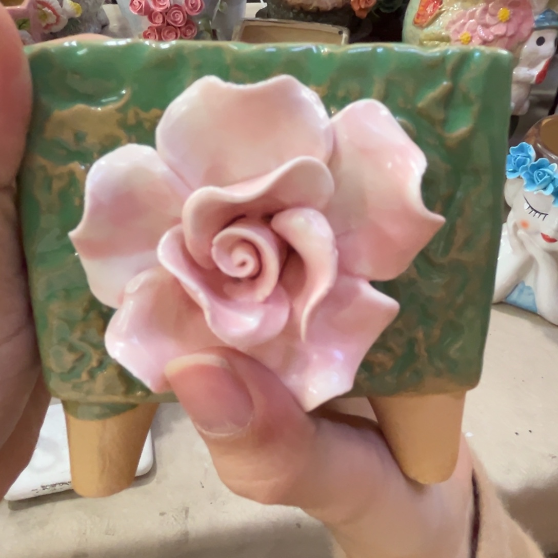 满20飞退款拉黑花盆