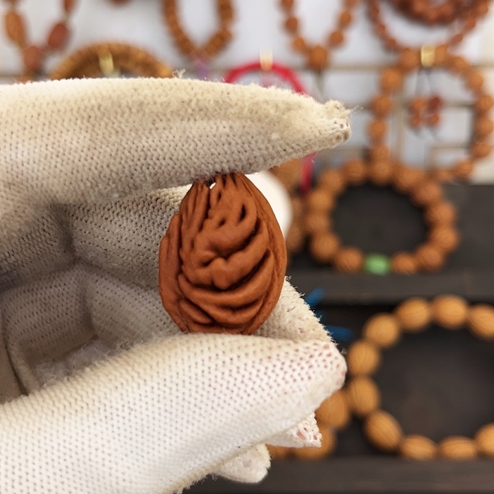 （***）探险1246898898686