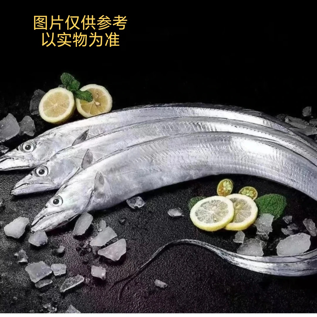 海捕钓钩带鱼（5斤共9-10条鱼)速冻后发货