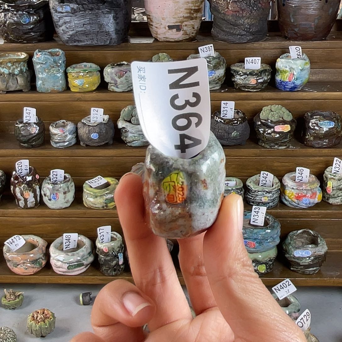 坛子姐花盆 小白孤品  内口1.7左右 百搭