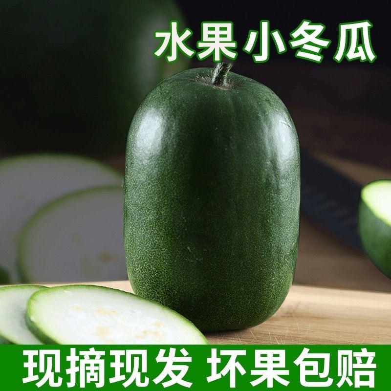 新鲜现摘小冬瓜农家自种迷你冬瓜现摘现发新鲜蔬菜批发可煲汤小冬瓜