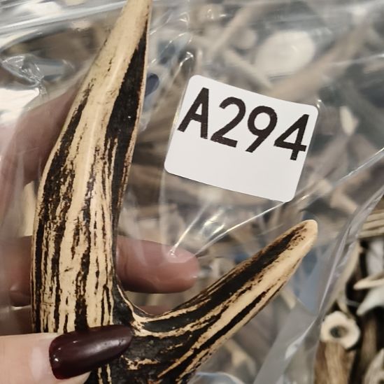 奥***开鹿角鹿角鹿角鹿角鹿角鹿角