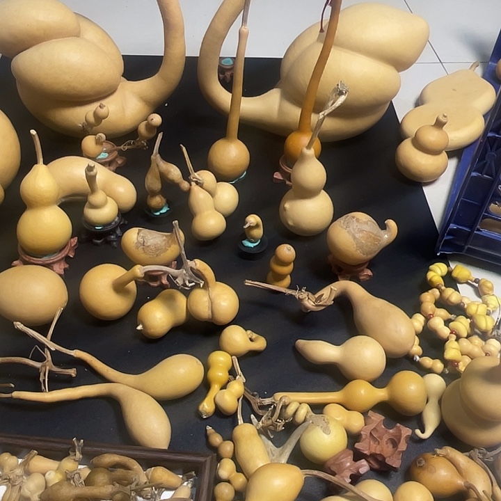 小***文姐姐姐姐姐姐姐姐姐姐了