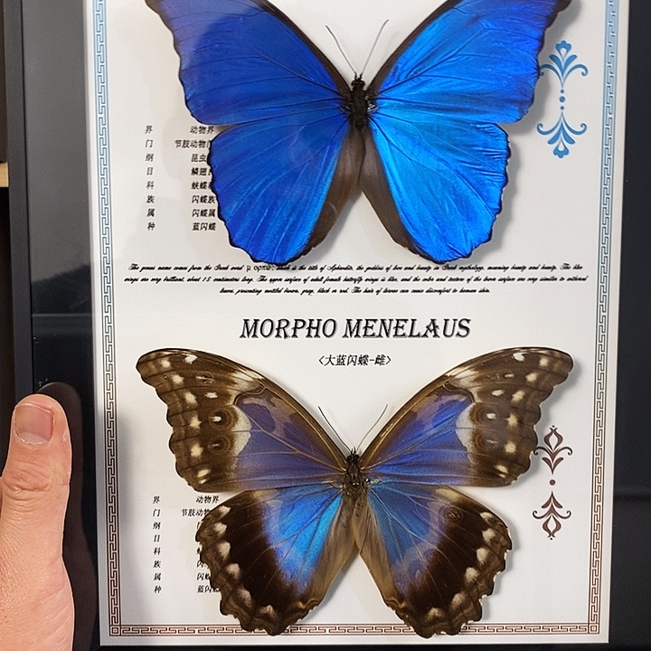 拈***梦三醋酯纤维花老板专属款