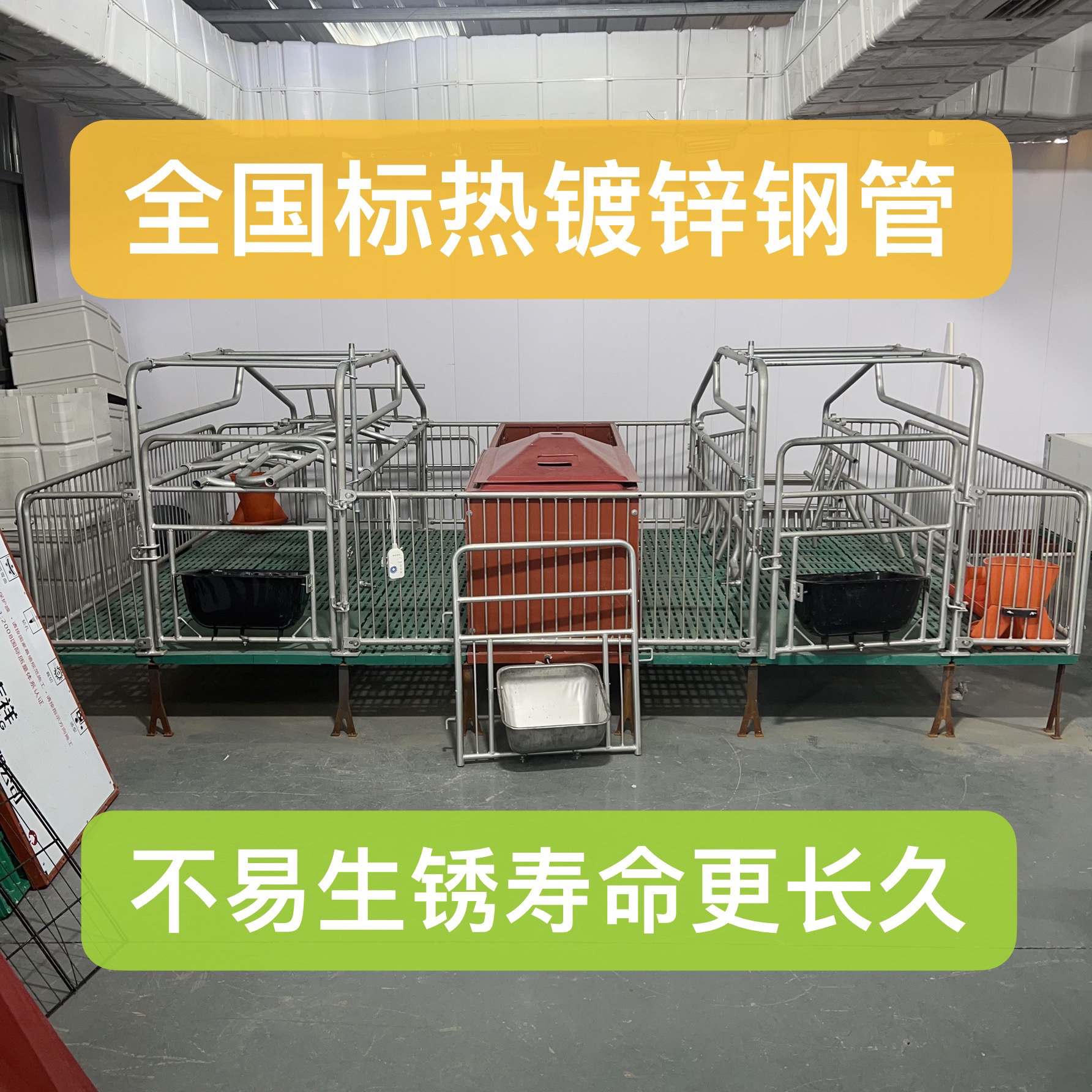 产保一体两用母猪产床热镀锌限位栏保育床养猪设备