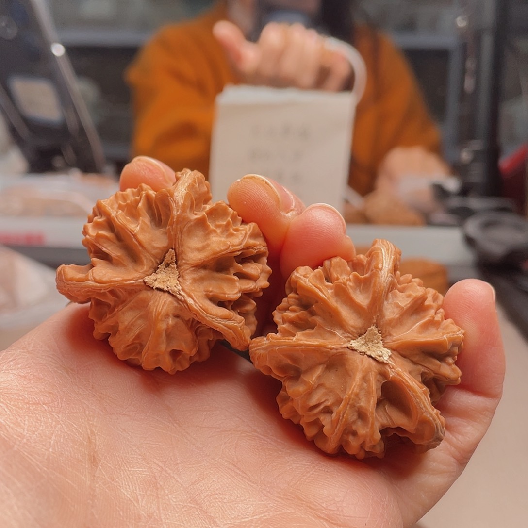 李**呢39三棱镜在一条