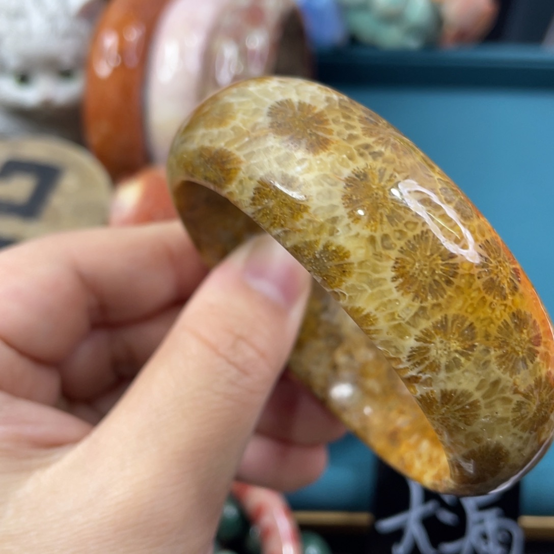 未镶嵌手镯硅化玉