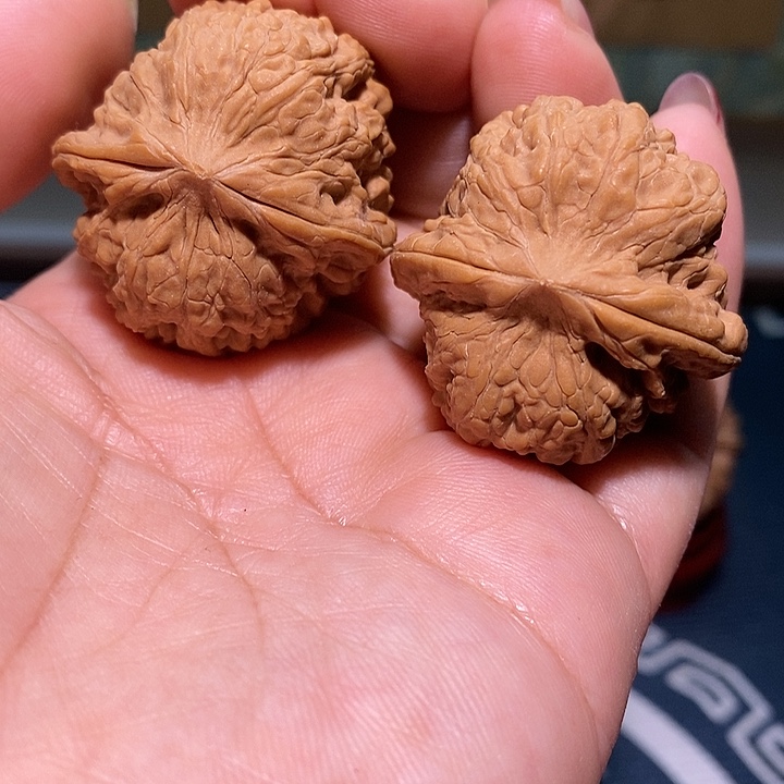 文玩核桃把件35金蟾凹底富甲天下