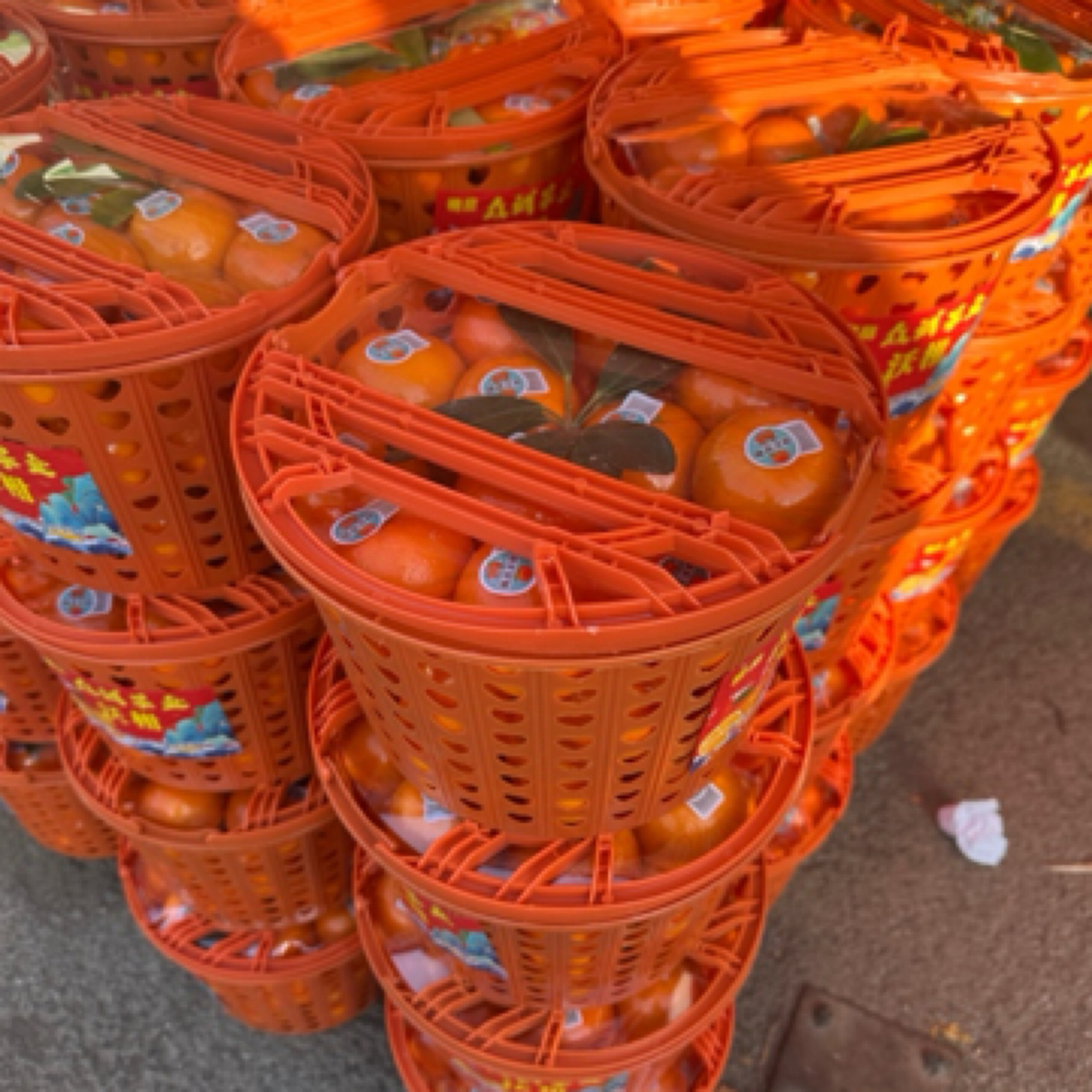 沃柑（礼盒/散装）