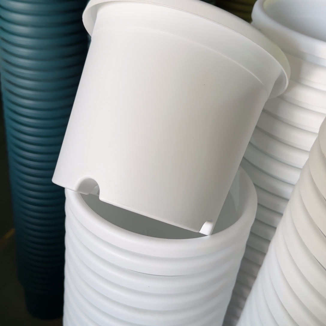 树脂四季3#无拖纯白10个