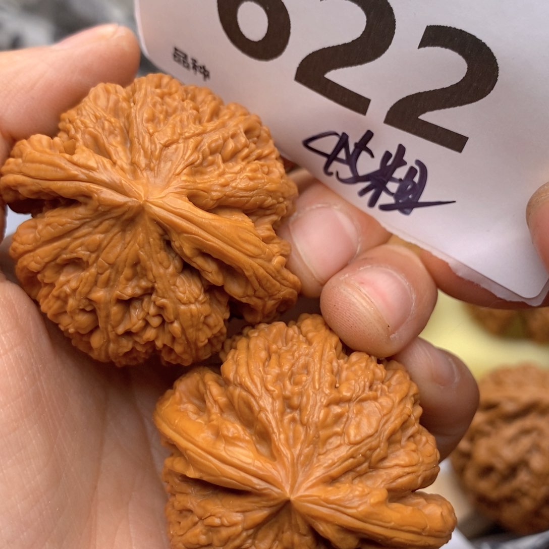 文玩核桃吊坠622号45粗筋