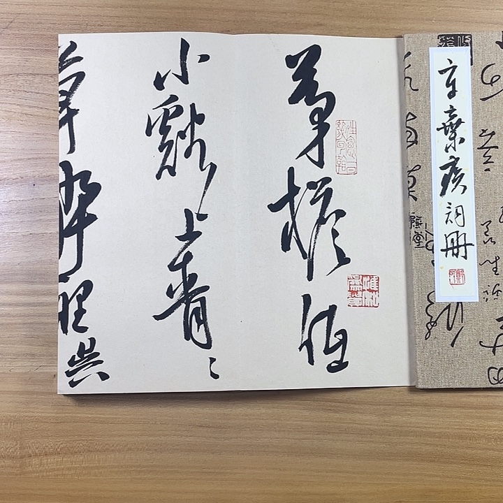 书法中书协会员作品