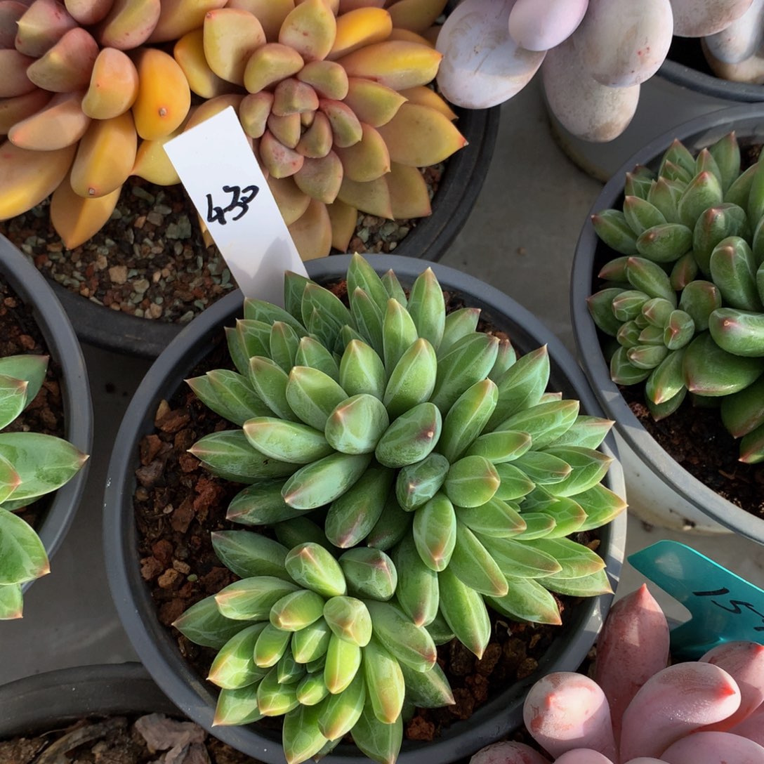 陨石727272722727373