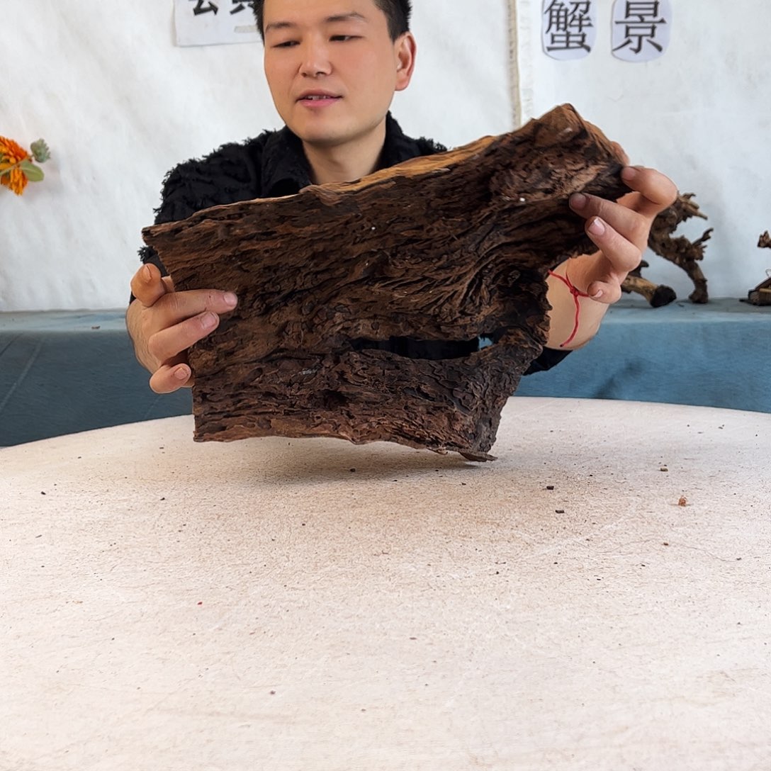 沉木造景爬宠造景