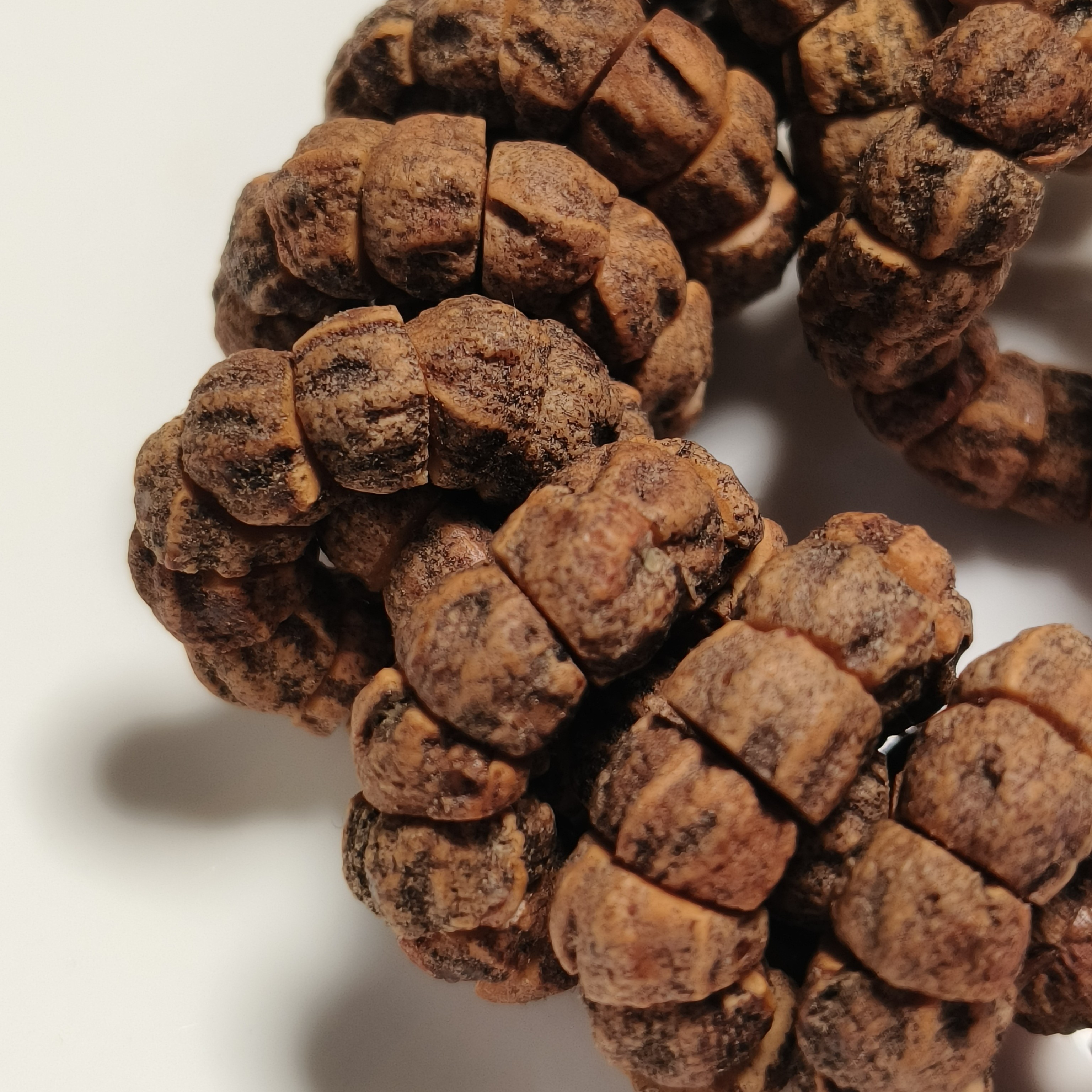 【百香籽几何脏大肠】一款黄油皮脏大肠百香籽，油密度十足，压手感强