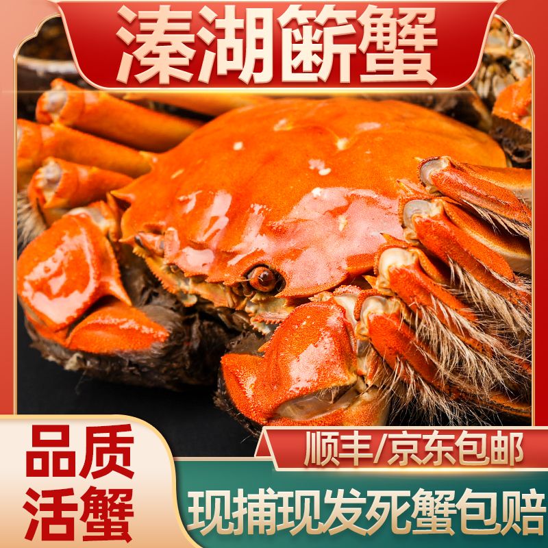 活蟹溱湖湖心蟹大闸蟹公蟹6.2-5.9两 母5.2-4.9两4对8只装