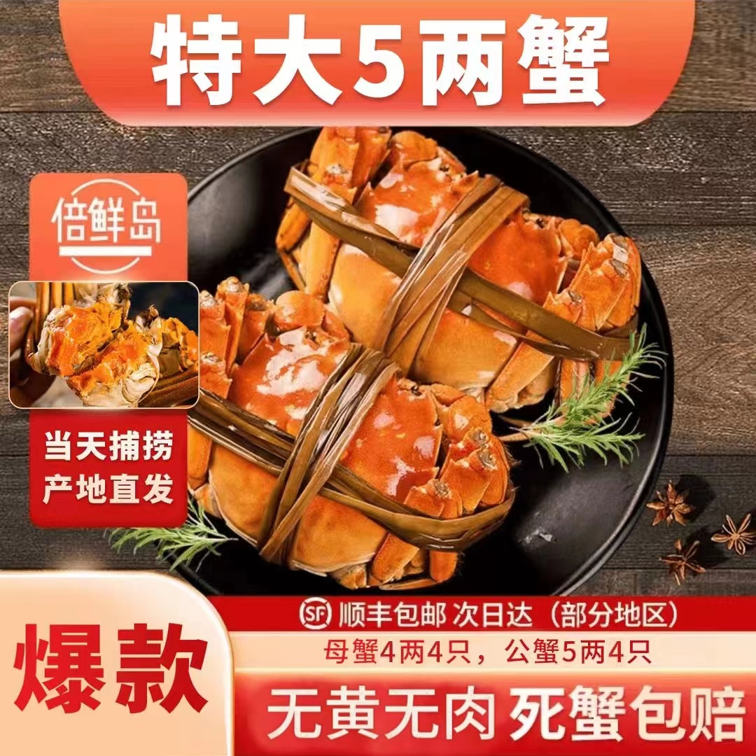 【活蟹现发】江苏兴化大闸蟹5两公蟹/4两母蟹共8只装礼品盒顺丰京东