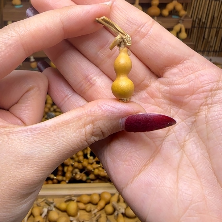 少***男就哈哈哈哈哈哈哈哈哈哈