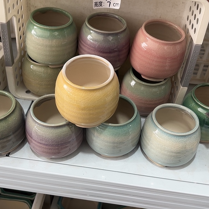 红陶肥*发6个，非完美，介意慎拍。