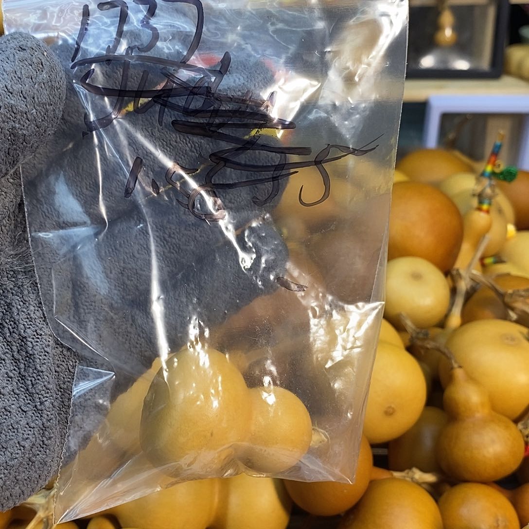 鹤***秋橄榄核手串/手链精品文玩葫芦随便挑