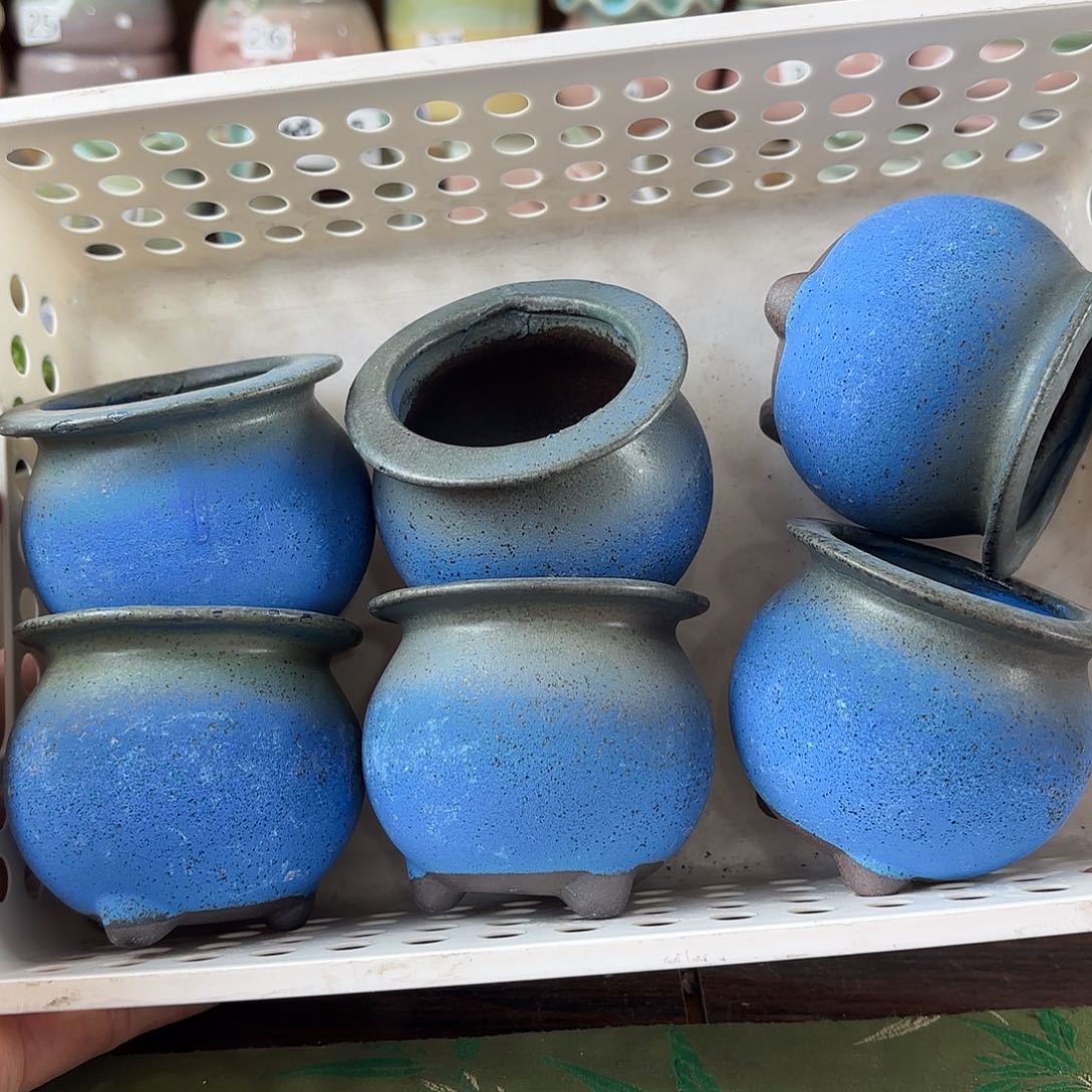 量货/口5-7 高深浅搭配发6个