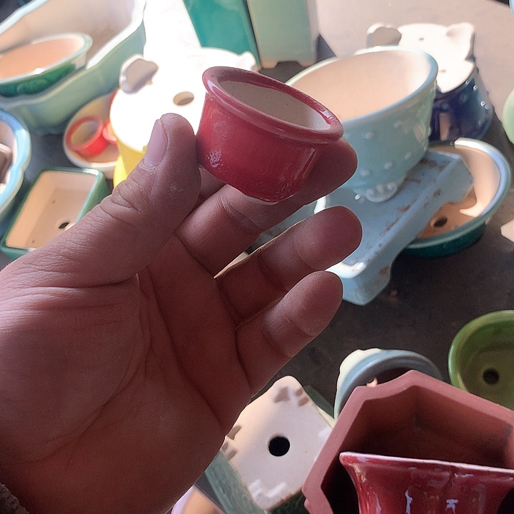 紫砂哈哈真的是太给力太火爆了不是吗