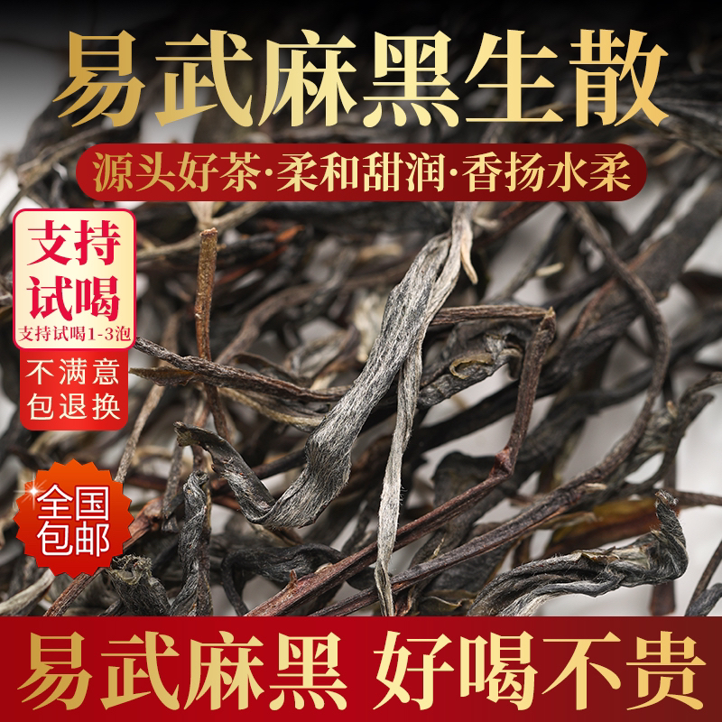 麻黑—2025年古树头春普洱生茶500克