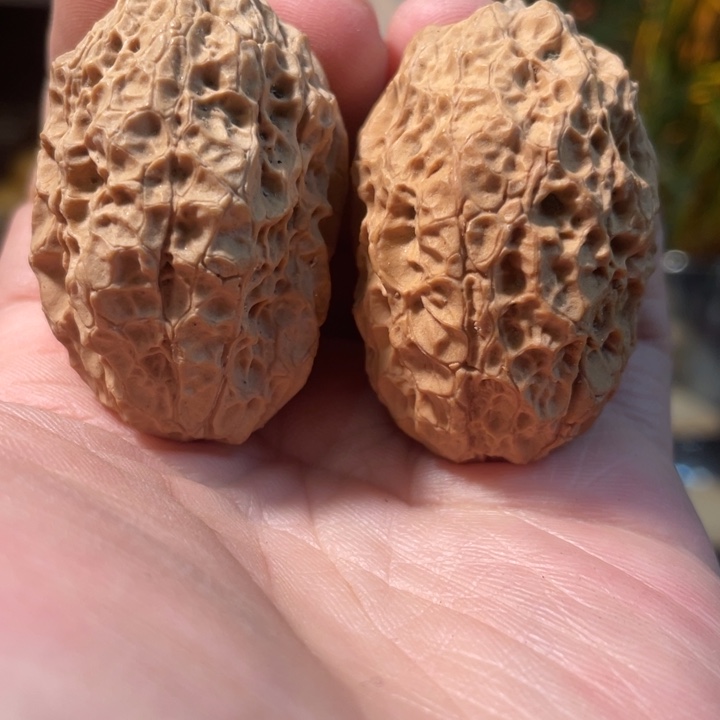 文玩核桃把件编号96