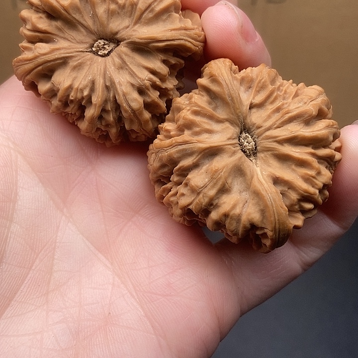 洛***司大大大大大大南疆有黄